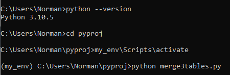 run py file from within my_env