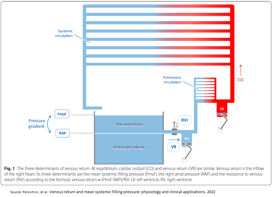persichini_venousReturn_2022