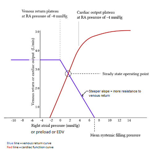 cardiacFxnVenousReturnBasic1a.png