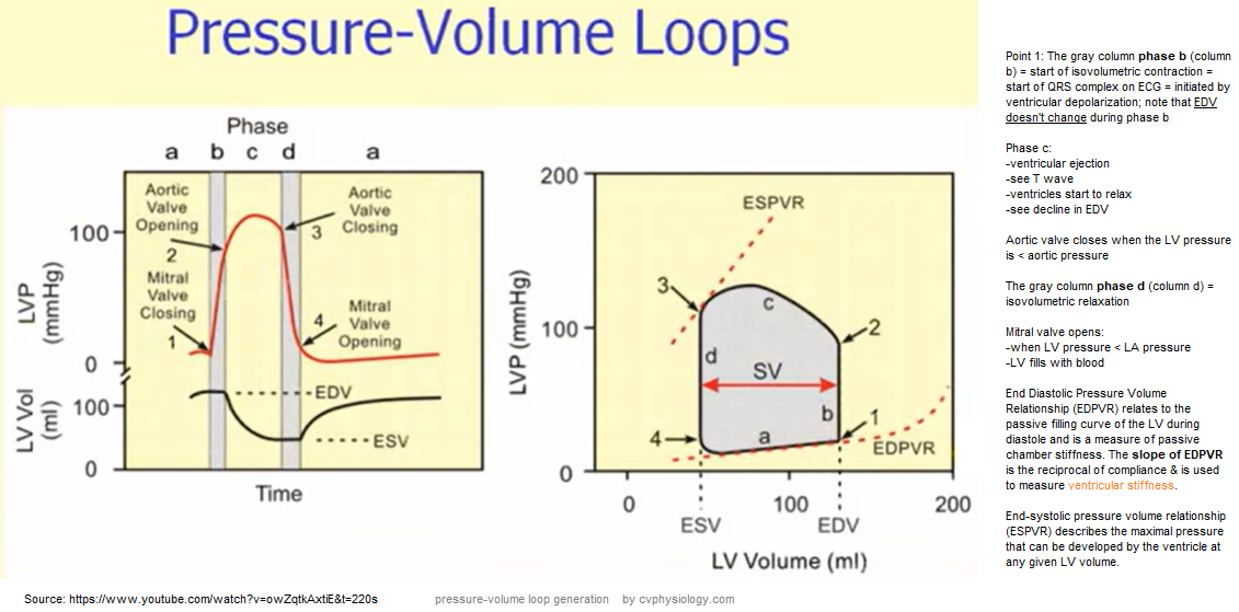 PV loops1