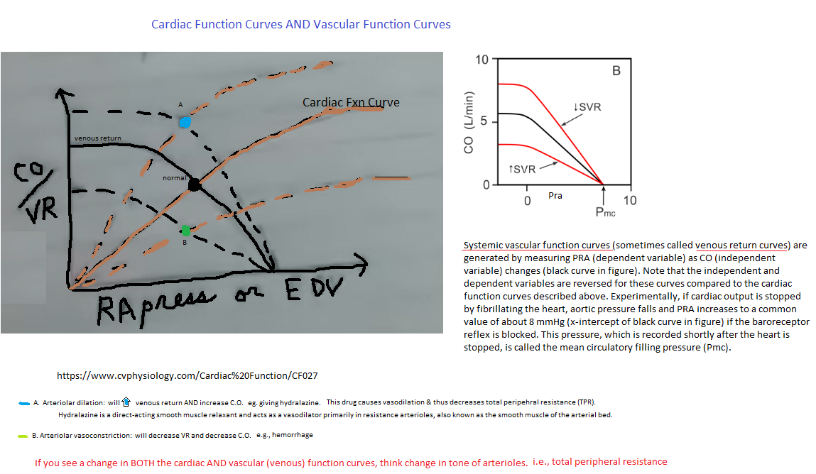 venousReturnCurve_1a